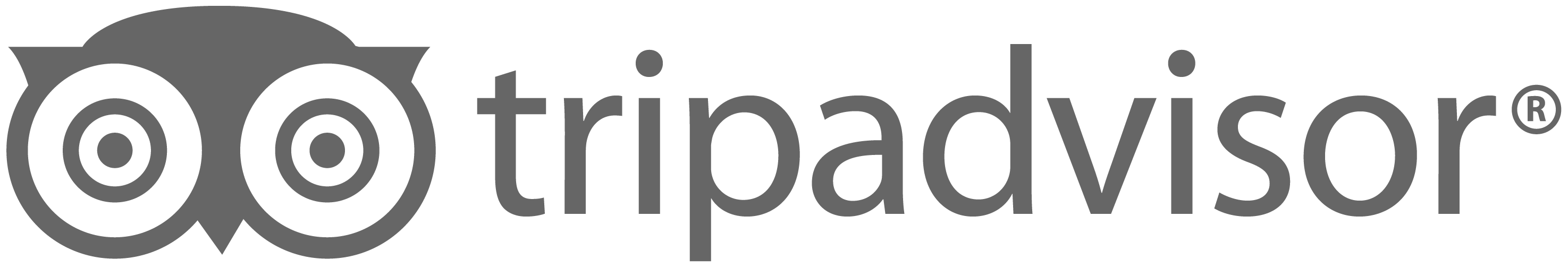 TripAdvisor-logo-el-arponero